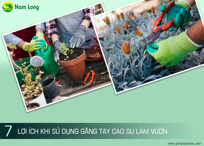 106 gang tay cao su lam vuon-1