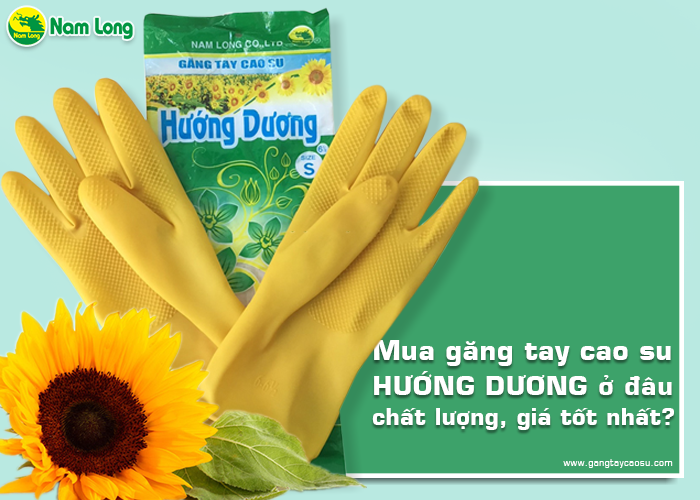 7 gang tay cao su huong duong