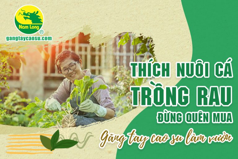 Thích nuôi cá trồng rau, đừng quên mua găng tay cao su làm vườn