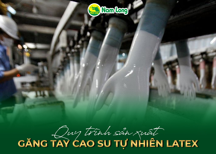 Quy trình sản xuất găng tay cao su tự nhiên latex - 01