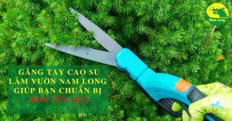 gang tay cao su lam vuon nam long