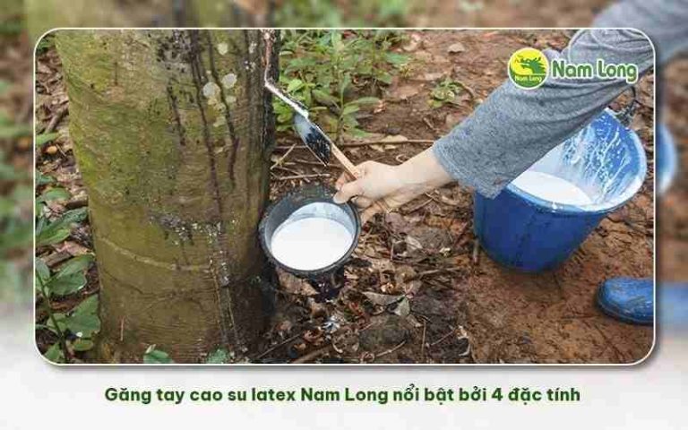 Găng tay cao su latex Nam Long