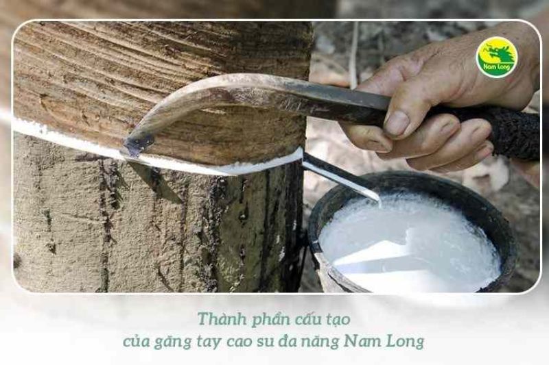 Găng tay cao su đa năng Nam Long