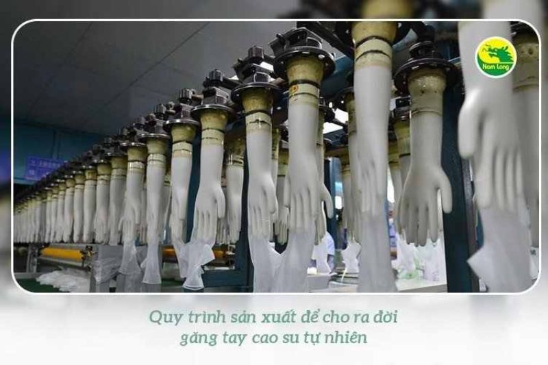 Găng tay cao su đa năng Nam Long