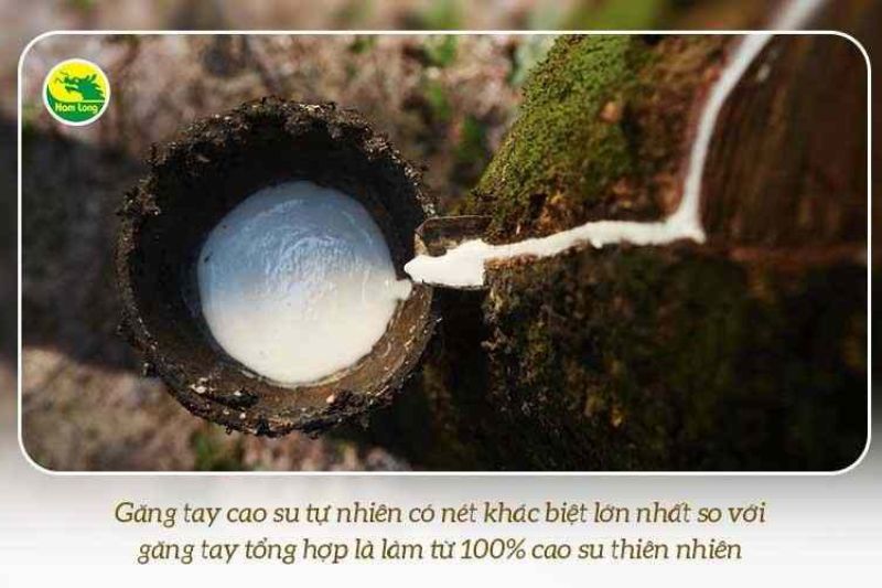 Găng tay cao su tự nhiên Nam Long