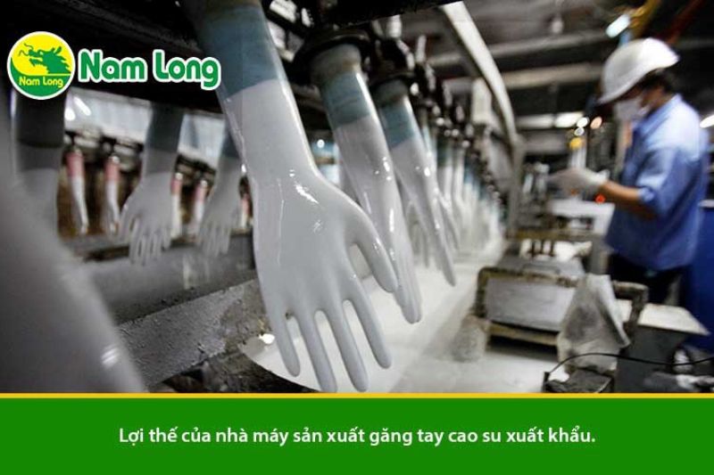 Nhà máy sản xuất găng tay xuất khẩu Nam Long