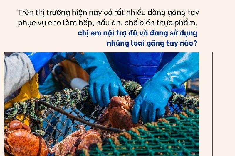 Găng tay chế biến thực phẩm Nam Long