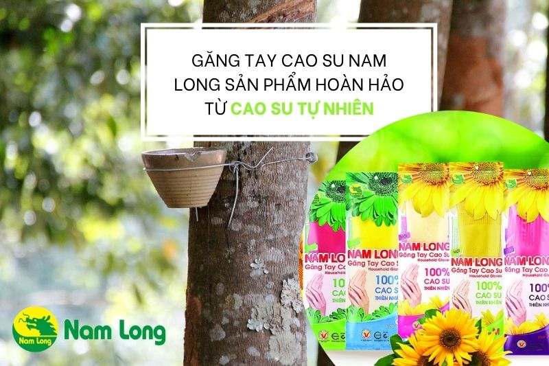Găng tay cao su Nam Long sản phẩm hoàn hảo từ cao su tự nhiên