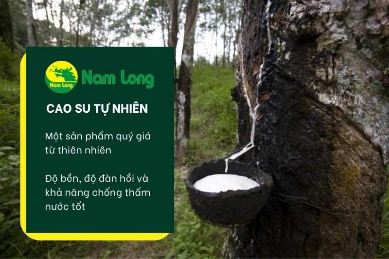 Găng tay cao su Nam Long tại sao phải chọn làm từ cao su tự nhiên