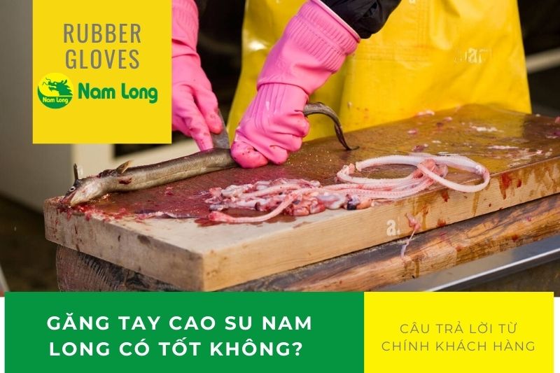 Găng tay cao su Nam Long có tốt không? Câu trả lời từ chính khách hàng