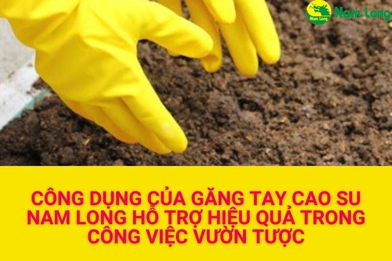 công dụng của găng tay cao su Nam Long 