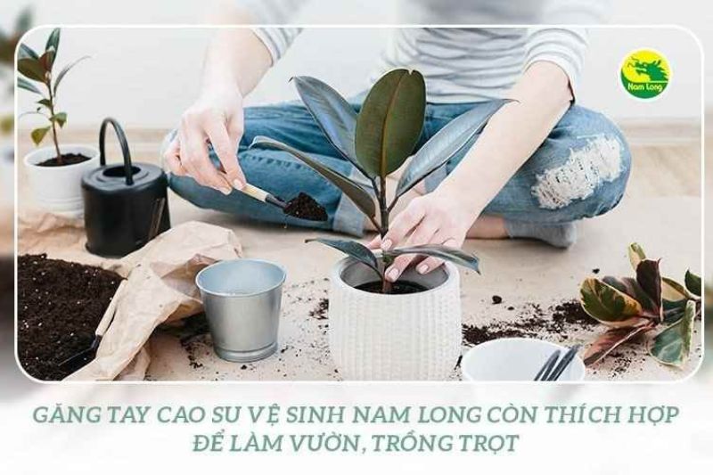 Găng tay cao su Nam Long giá bao nhiêu
