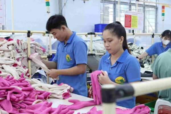 Găng tay cao su thiên nhiên Nam Long