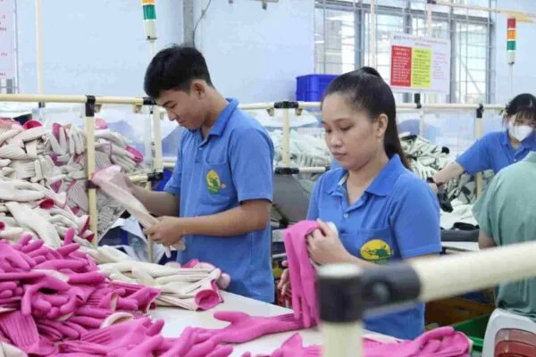 Găng tay cao su thiên nhiên Nam Long