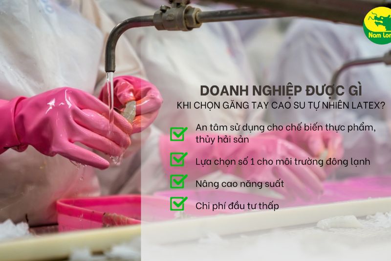 găng tay cao su Nam Long: Cơ hội kinh doanh bền vững và tiềm năng