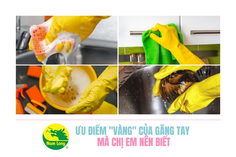 găng tay cao su Nam Long bao nhiêu tiền