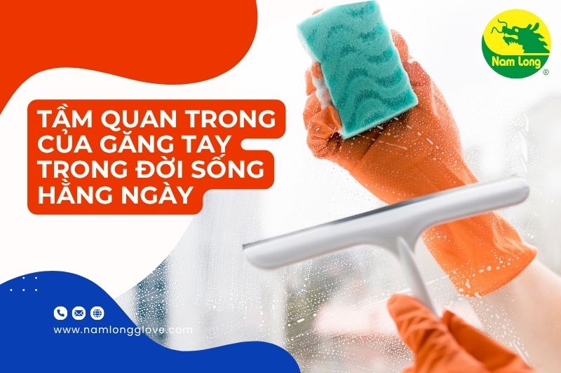 găng tay cao su Nam Long thị trường găng tay cao su năm 2025