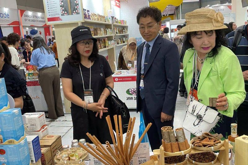Găng tay cao su Nam Long Korea Import Expo 2026